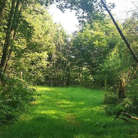 Eg Auszeit Bad Bertrich