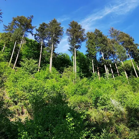 Appartement Eg Auszeit
