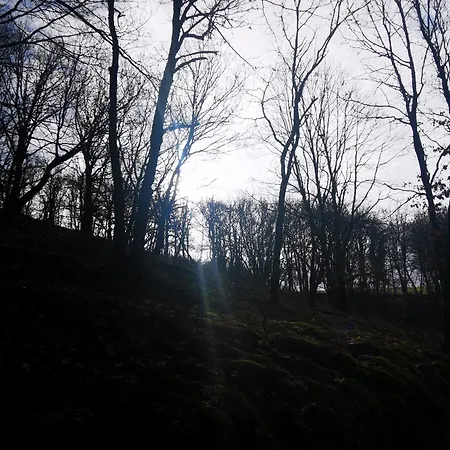 Appartement Eg Auszeit