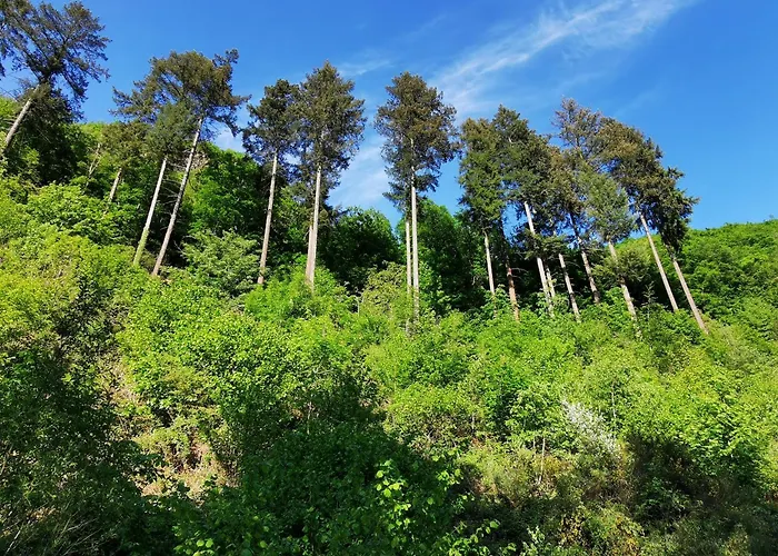 Apartamento Eg Auszeit