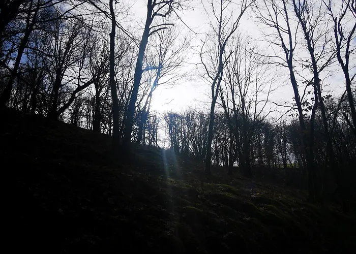 Apartamento Eg Auszeit